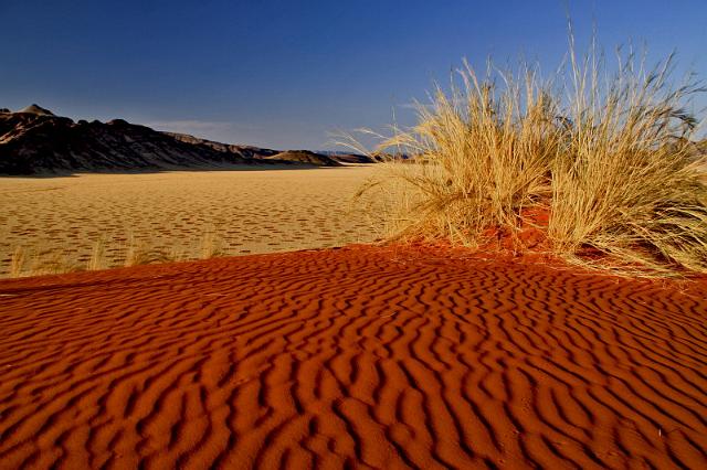 063 Namib Desert, namibrand nature reserve, sossusvlei desert lodge.JPG